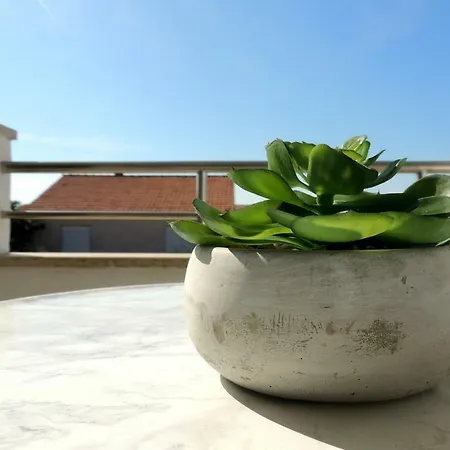 Kalarossi Apartamento *